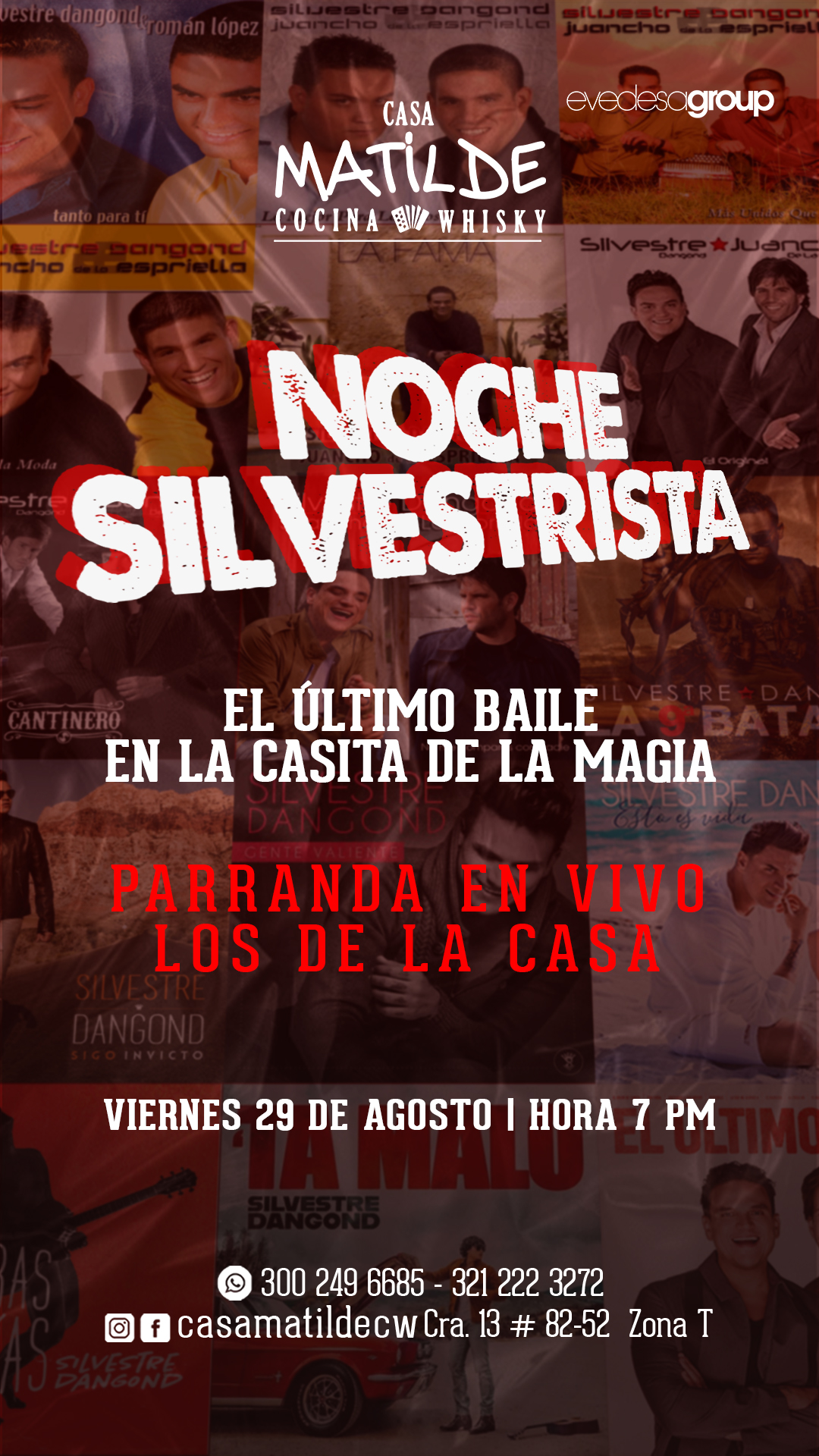 NOCHE SILVESTRISTA CM